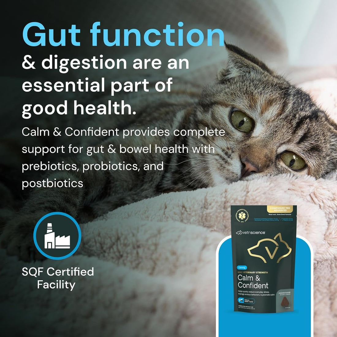 VetriScience Veterinary Strength Calm & Confident Chews, 45 Count