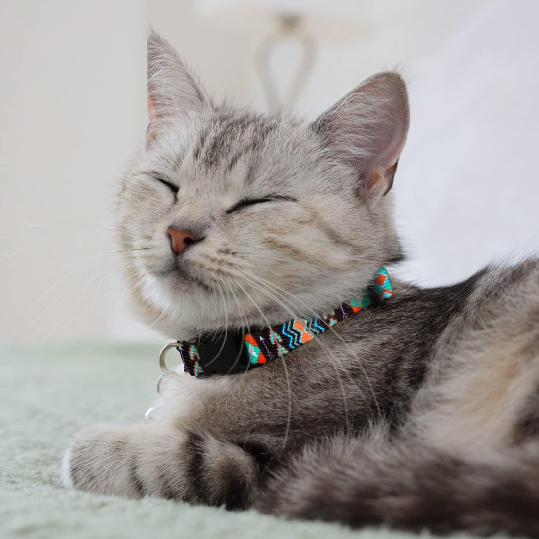 CollarDirect Cat Collar Breakaway with Removable Bell Set of 2 PCS
