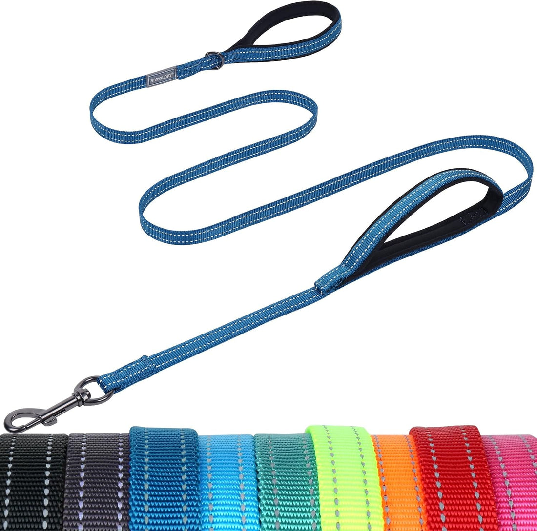 VIVAGLORY Double Handle Dog Leash Twingrip, 6ft x 1in