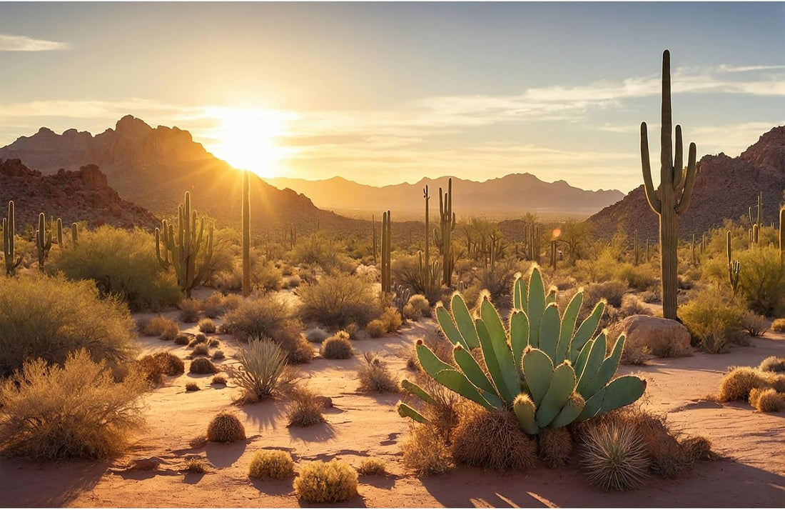 Desert Mountain Reptile Tank Background Sunset Rock Mountain Gobi