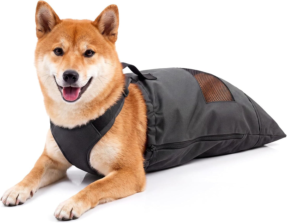 Sadnyy Drag Bags for Paralyzed Dogs & Cats