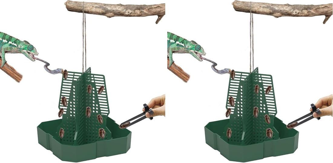 Chameleon Feeder Bearded Dragon Feeder for Mounted Insect(Medium)