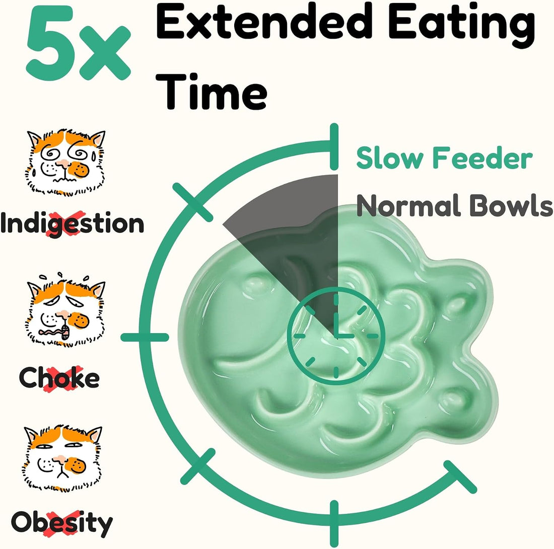 Elevated Slow Feeder Cat Bowl with Stand