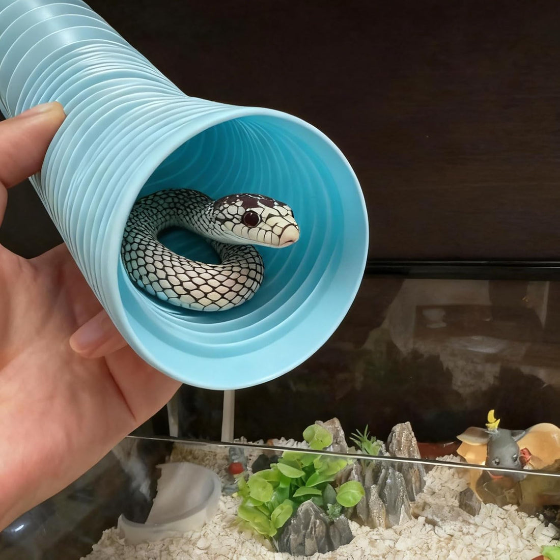 Snake Enrichment Tunnel & Hide