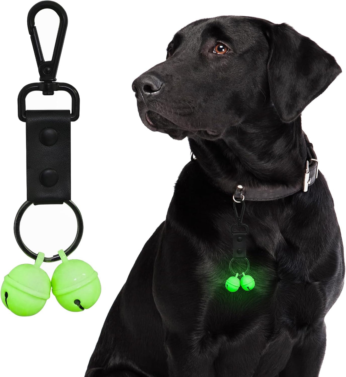 Whimsii Bells for Dog Collar, Glow Bell for Medium to Large Dogs