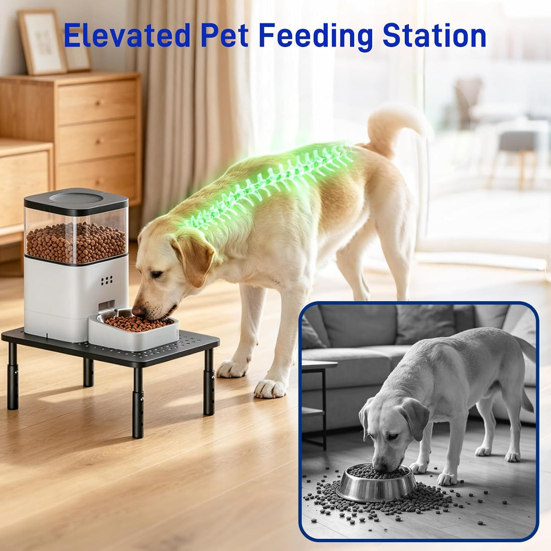 Automatic Cat Feeder Stand, Elevated Cat Food Stand & Bowl Riser