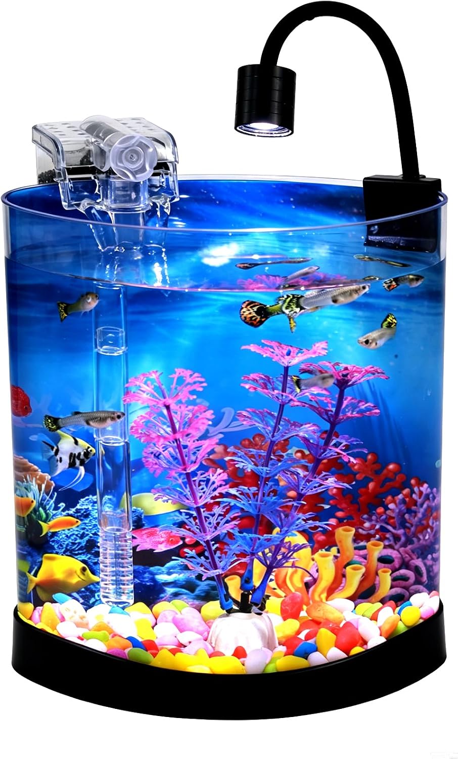 1 Gallon Fish Tank, Half Moon Shape, Mini Aquarium Starter Kit
