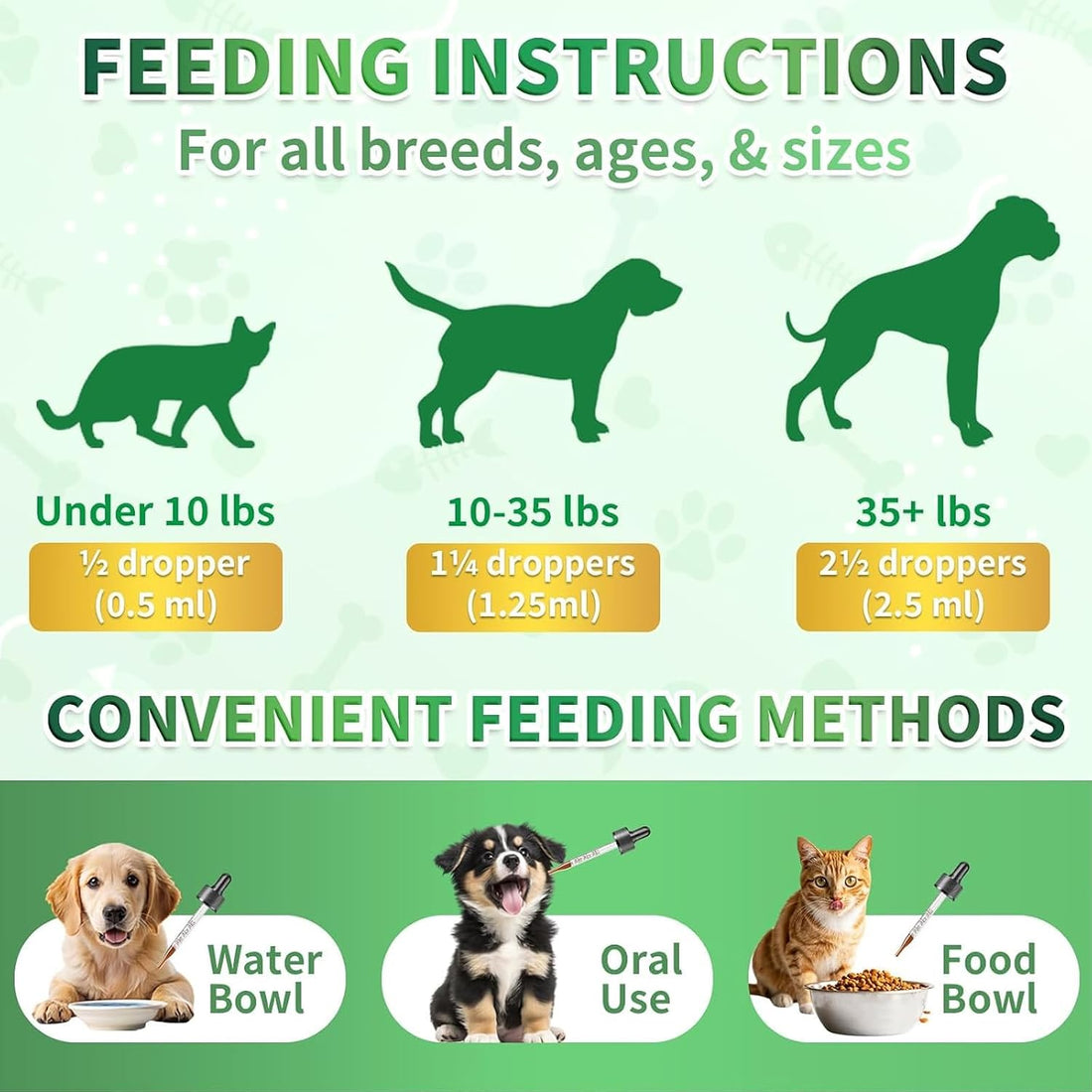 Flea & Tick Prevention for Dogs & Cats