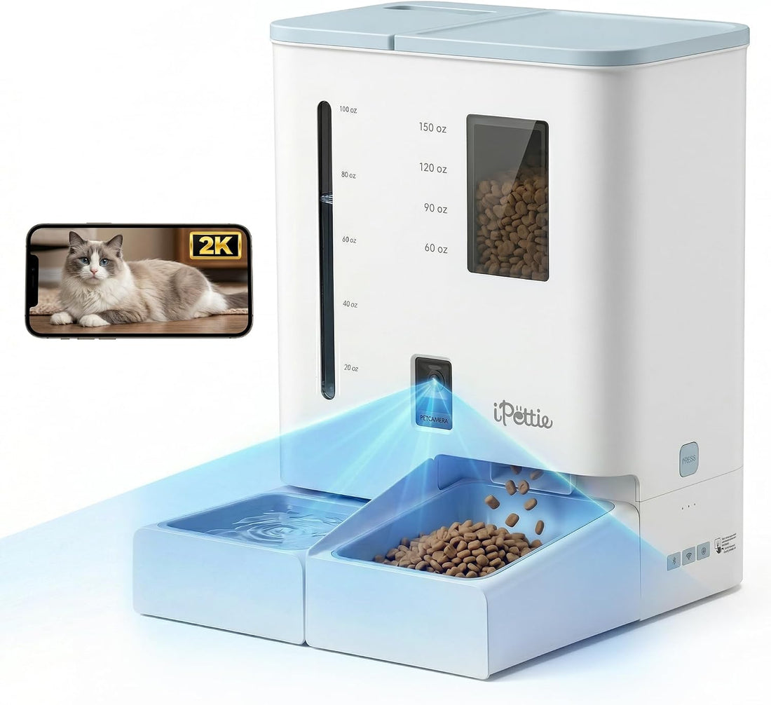 iPettie Camera Automatic Cat Feeder and Water Dispenser