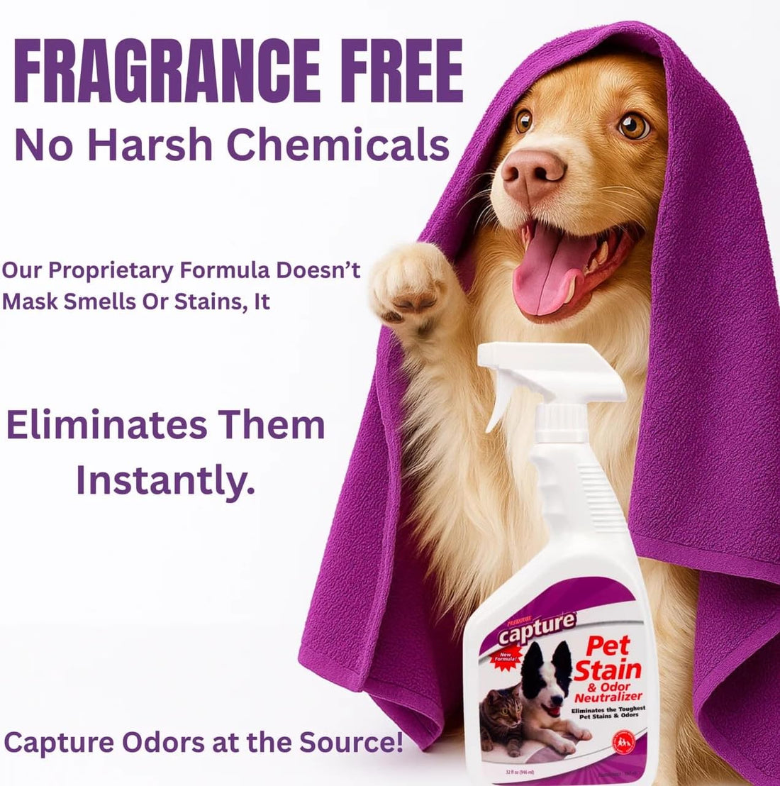 Capture Pet Stain & Odor Remover - Enzyme Pet Odor Eliminator