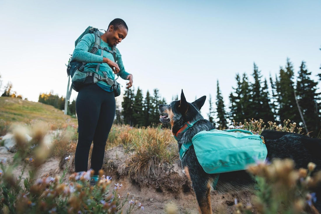 Ruffwear, Front Range Day Pack