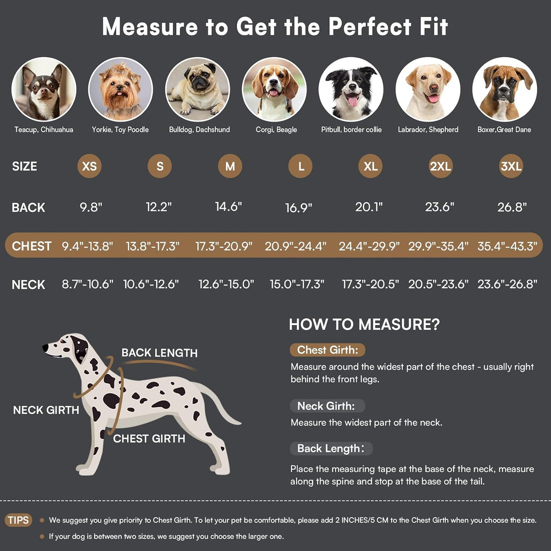 Queenmore Winter Dog Jackets for Medium Dogs with Harness Built-in