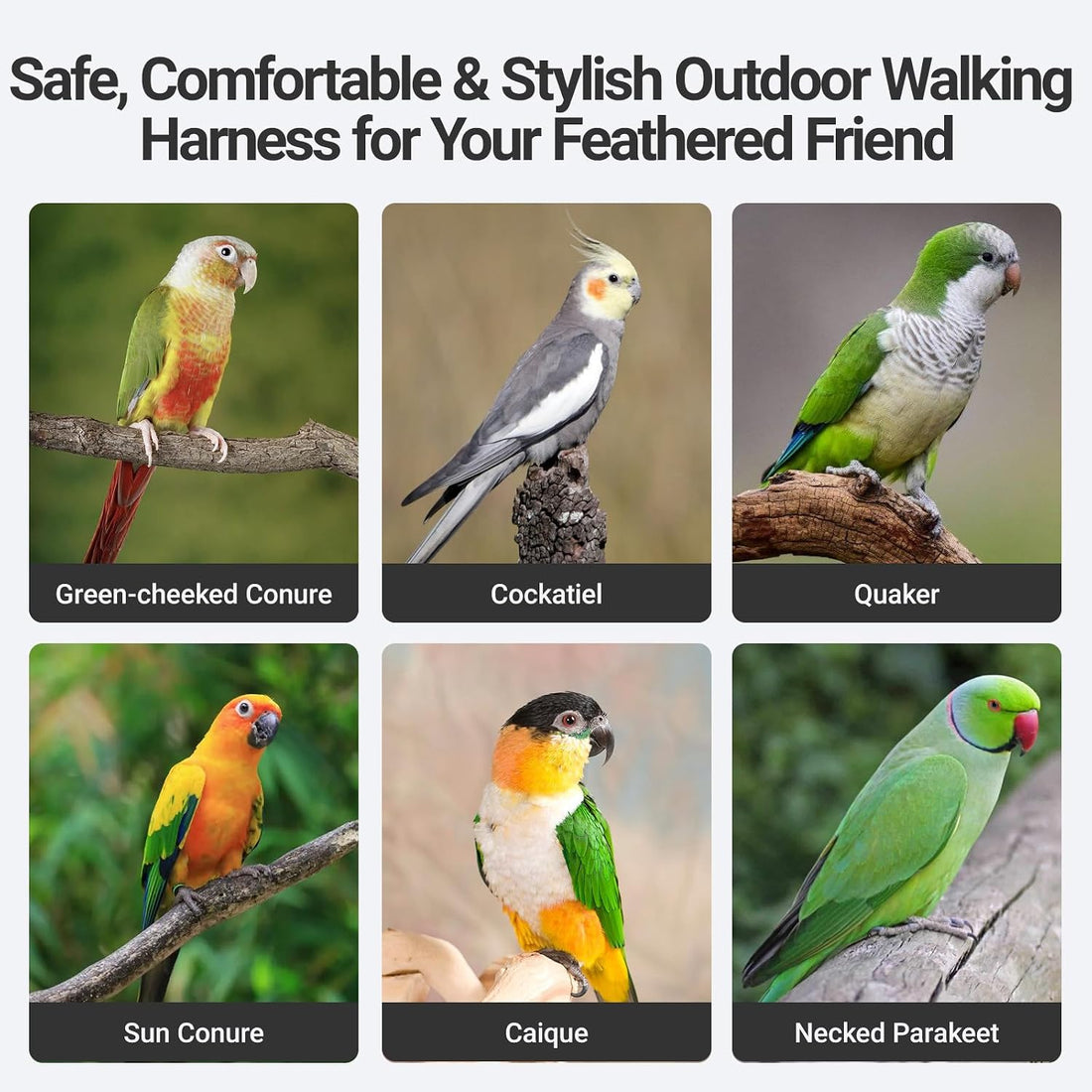 Bird Flight Harness Vest, Adjustable Training Design Anti-Bite