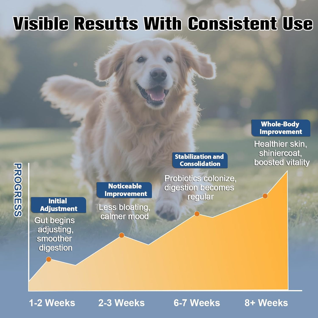 Probiotics for Dogs Digestive Health