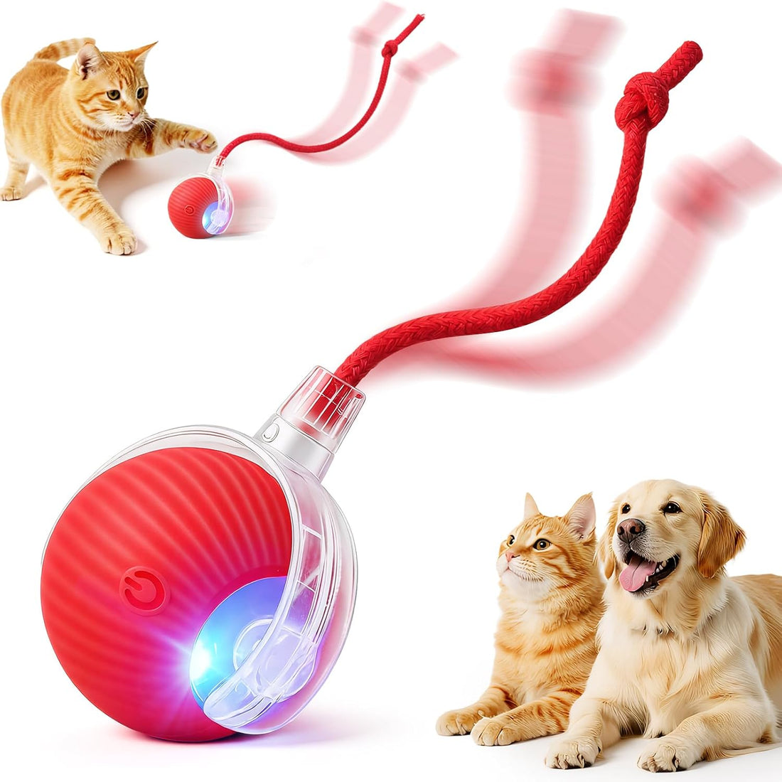 Interactive Automatic Rolling Electronic Stimulation Chase Ball Cat
