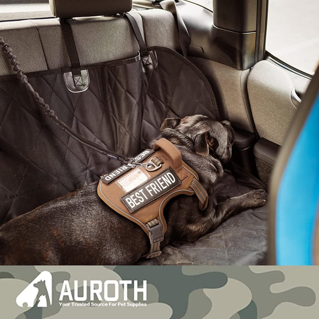 AUROTH Heavy Duty Bungee Dog Leash for Shock Absorption