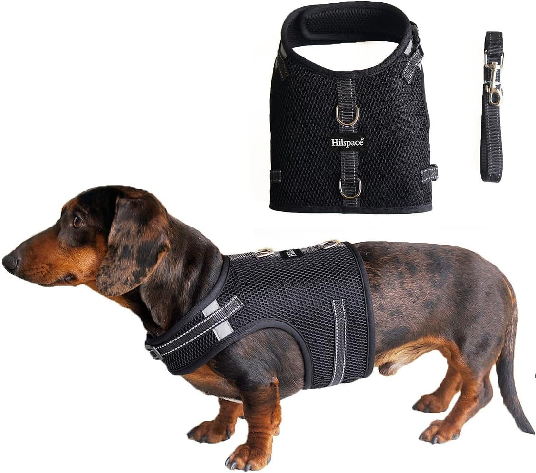 Mini Dachshund Harness Vest, No Pull & No Armpit Rub Dachshund Harness
