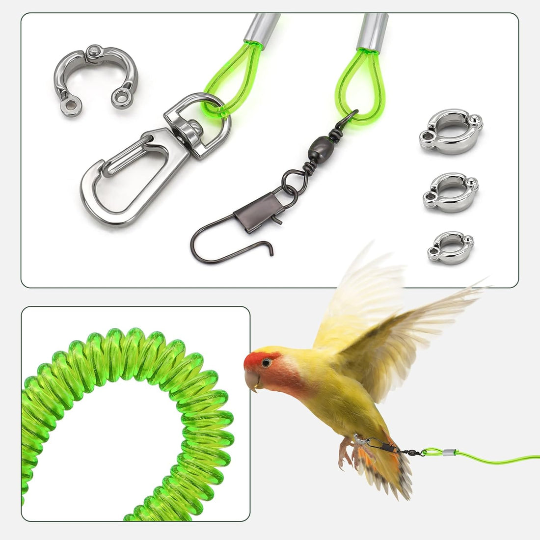 Parrot Flying Leash, 16.4 ft Training Rope with 3 Size Bird Foot Ring