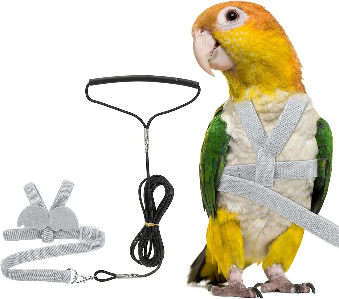 Adjustable Bird Harness Leash, Anti-Bite, S, Green