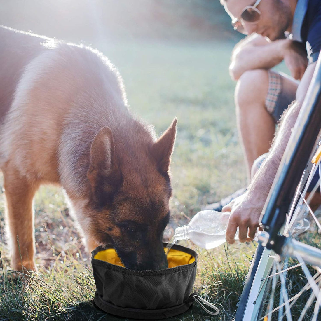 LumoLeaf Collapsible Dog Travel Bowl