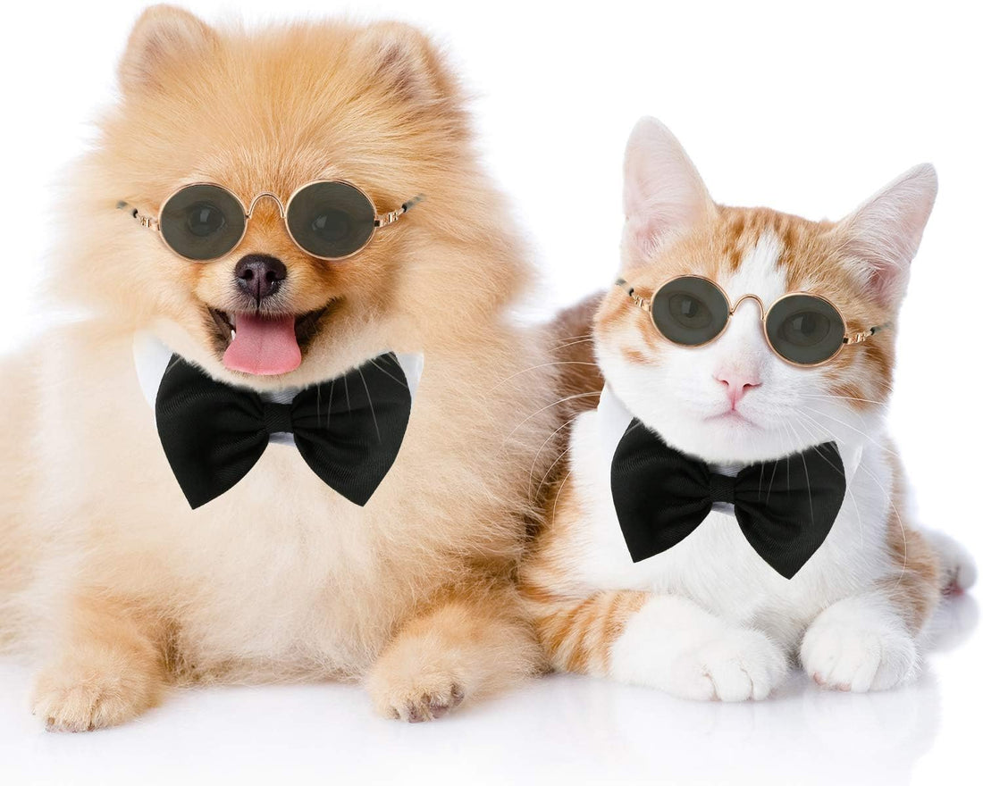 2 Pieces Pets Dog Cat Bowtie Tie Sunglasses Pets Costume Adjustable