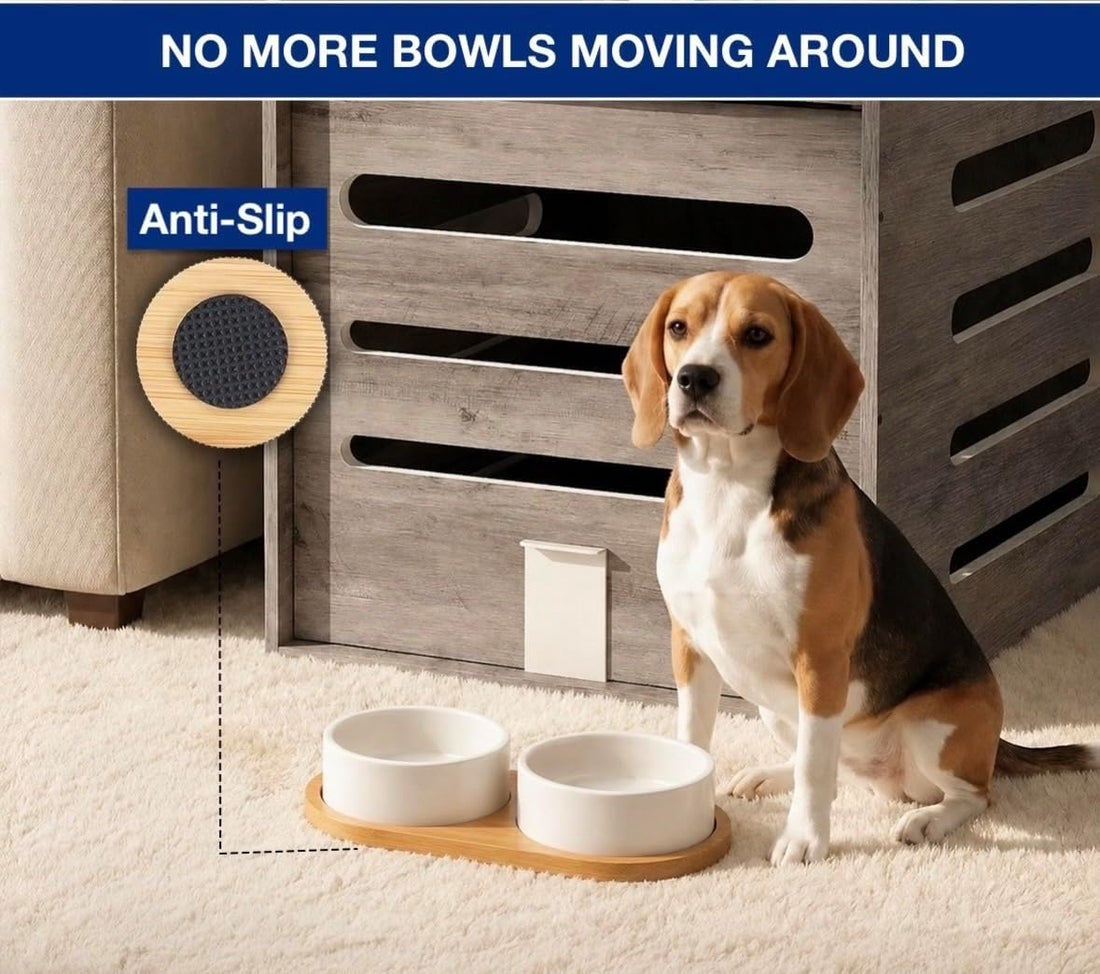 Ceramic Small Dog and Cat Bowls-Set of 2 Pet Dishes with Non-Slip