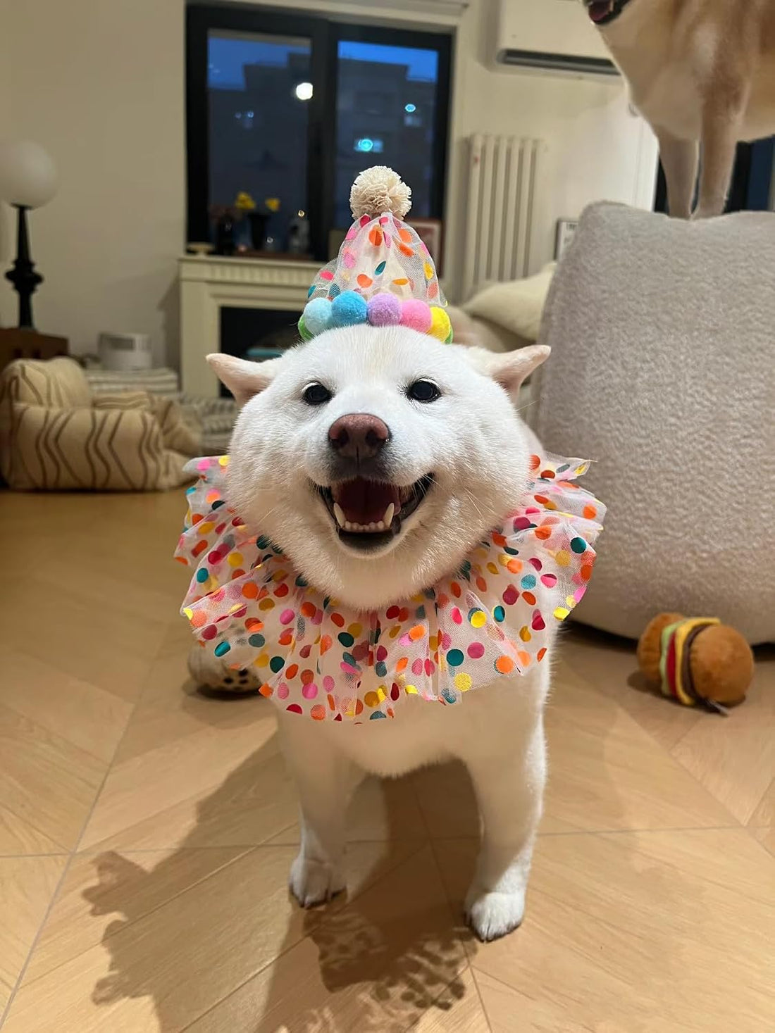 Cat Dog Princess Costumes Puppy Cat Birthday Bandana Scarf and Party