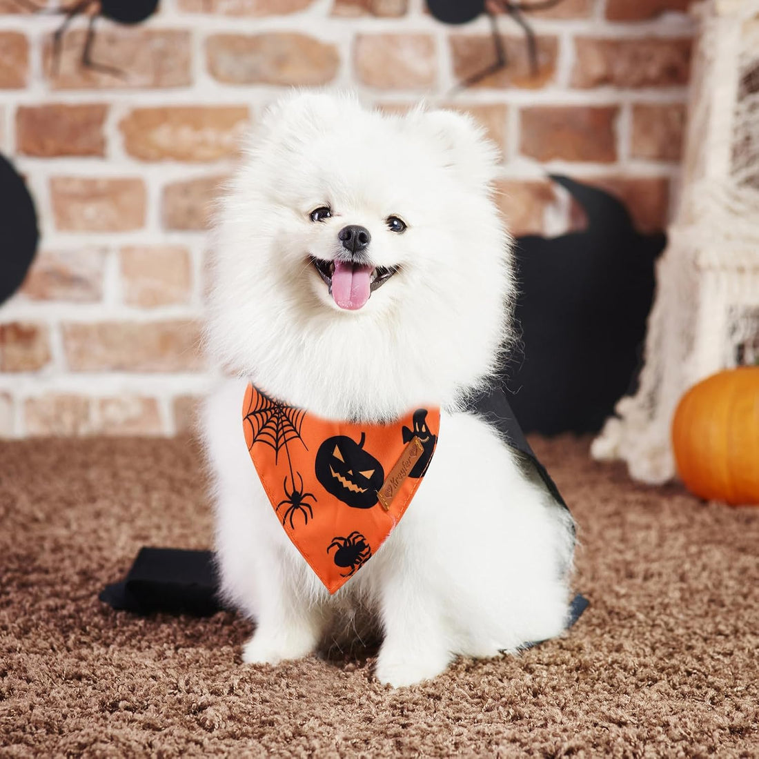 2 Pieces Halloween Dog Bandanas