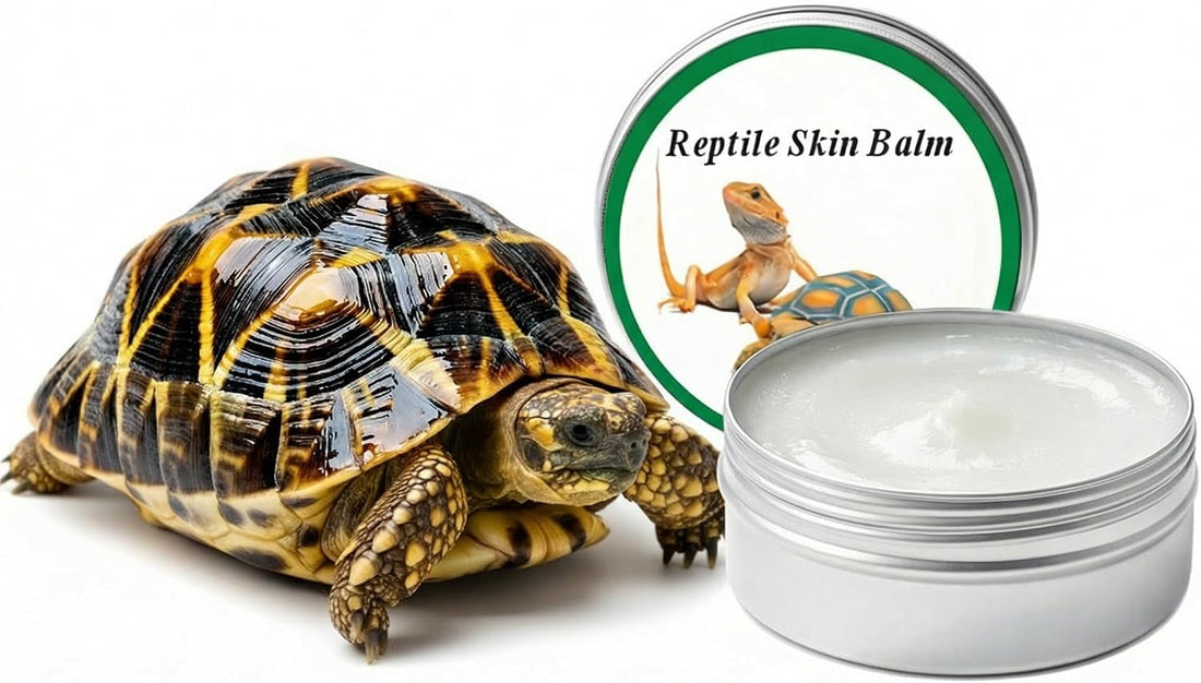 RONDURE 2.8 Oz Tortoise Shell Conditioner