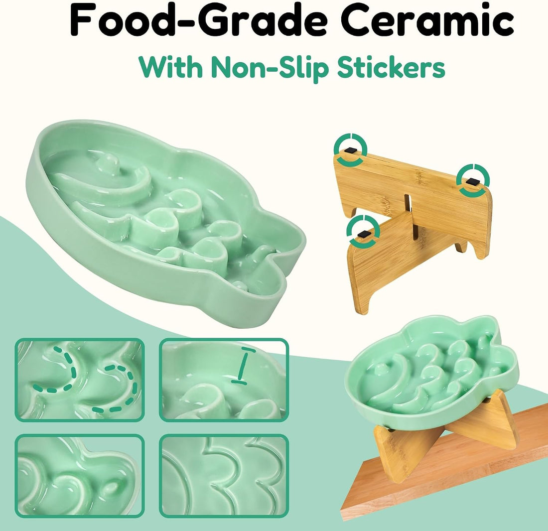 Elevated Slow Feeder Cat Bowl with Stand
