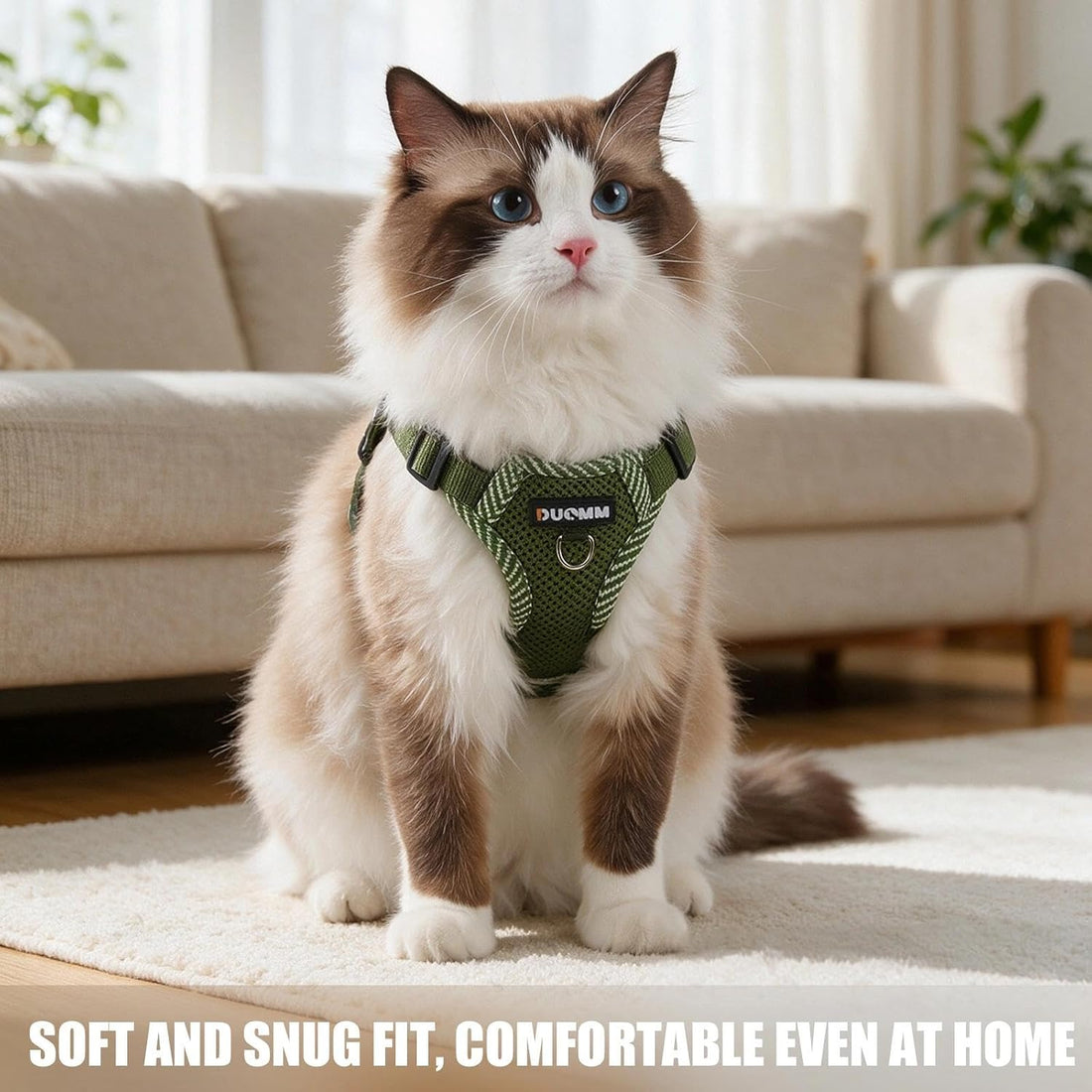 Large Cat Harness and Leash Set