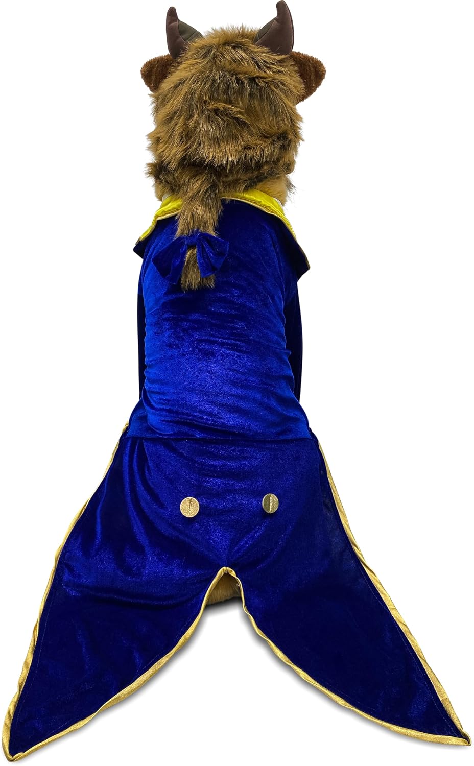 Rubies at Party City Disney's Beauty & The Beast