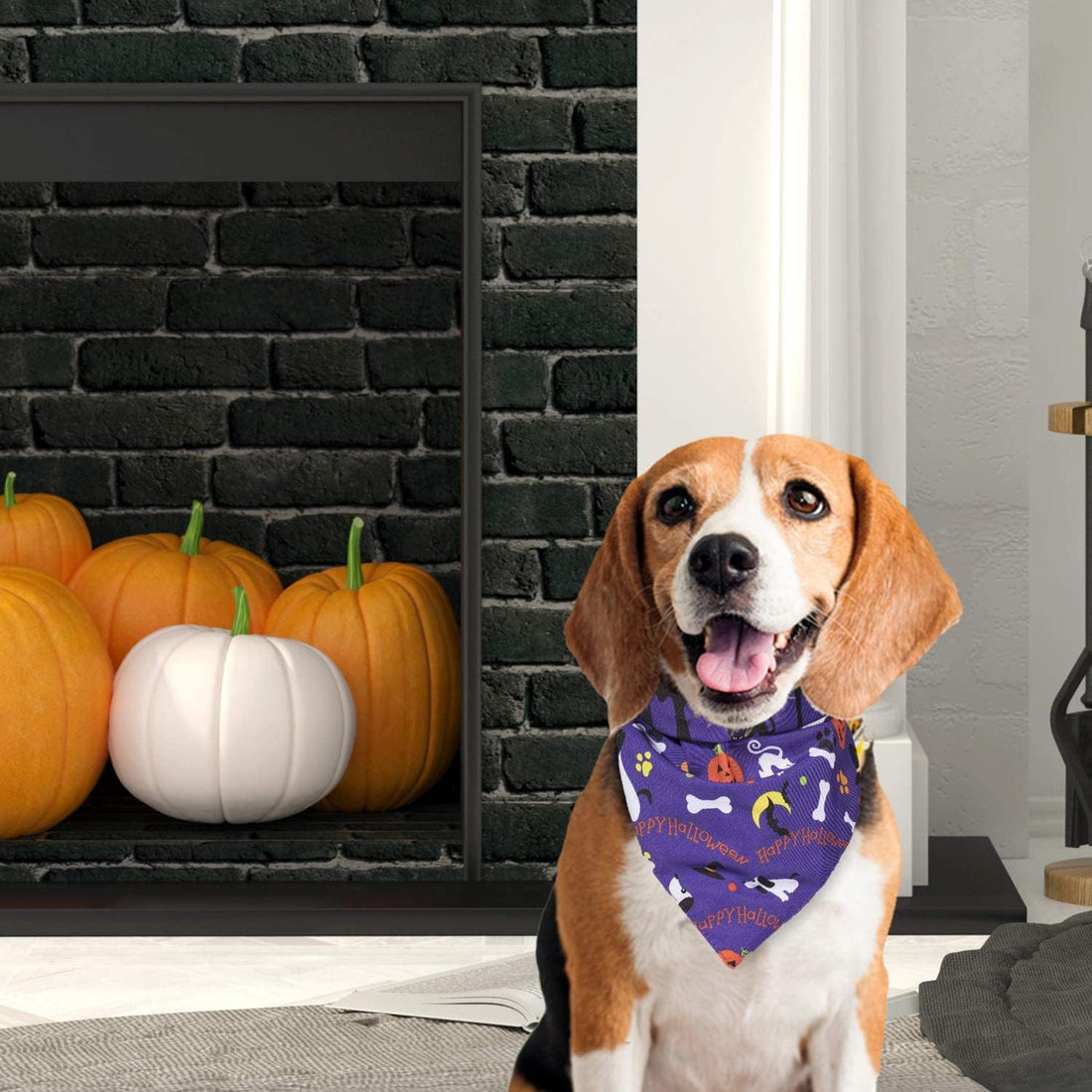 Whaline 5 Pack Halloween Dog Bandanas