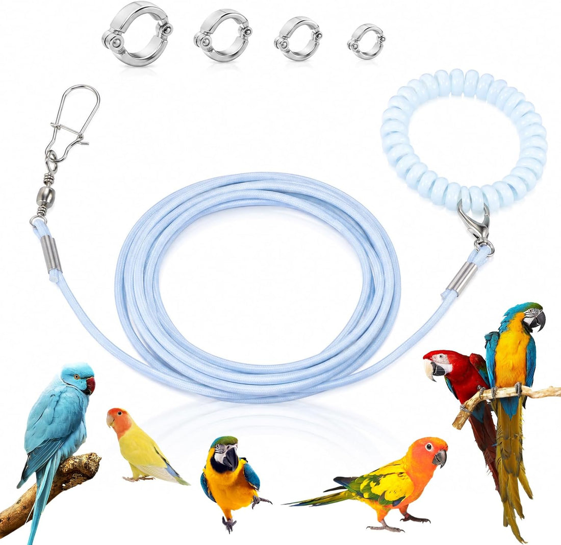 Bird Leash, 79 Inch Blue Parrot Leash