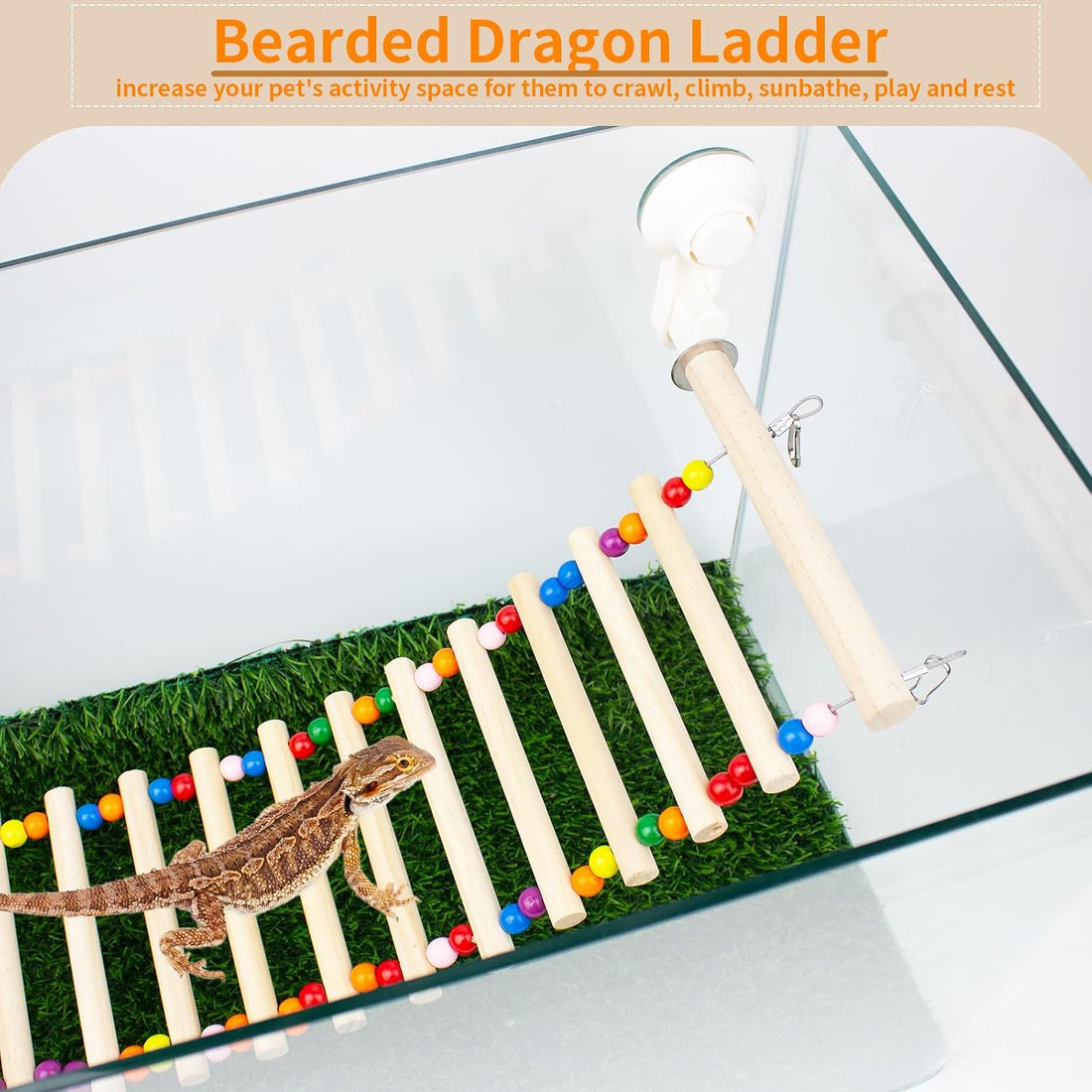 FlidRunest Bearded Dragon Window Ladder with 2 Sturdy Suction Cups