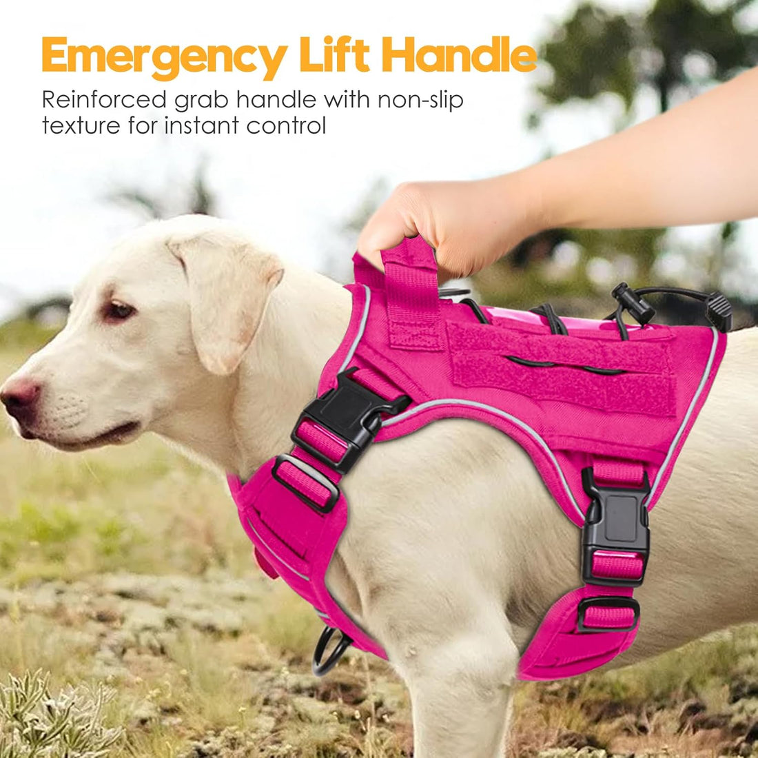 Heavy-Duty Tactical Dog Harness for Large Dogs