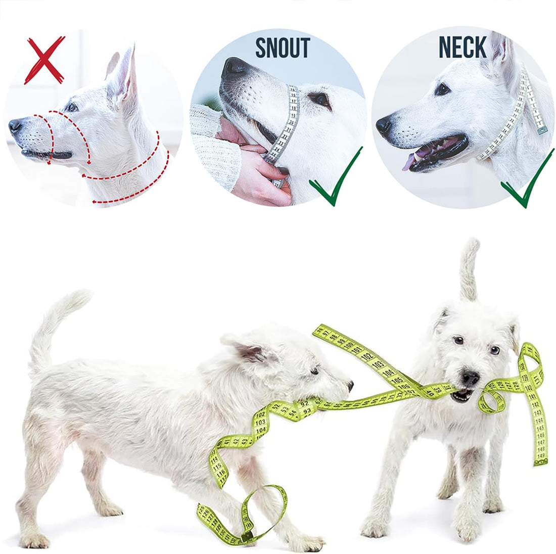 GoodBoy Dog Head Halter with Safety Strap