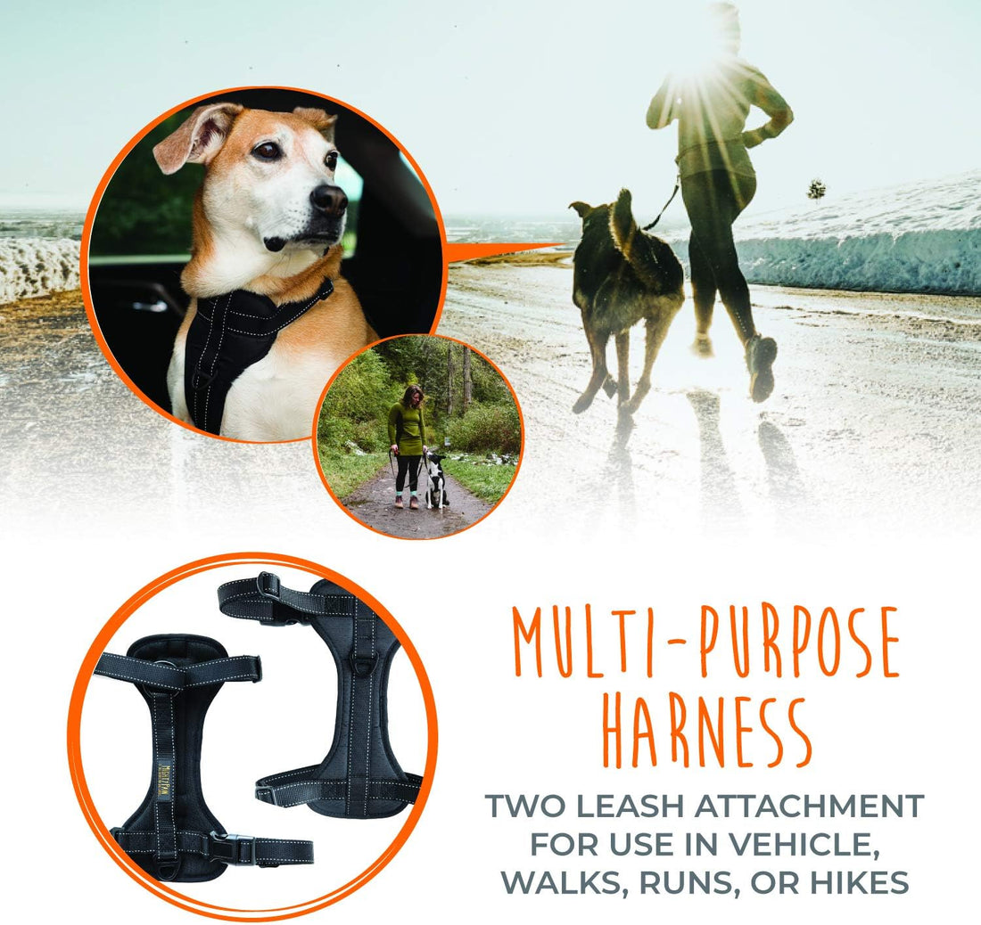 Mighty Paw Dog Car Harness - Vehicle Safety Gear - 2 Leash Attachment