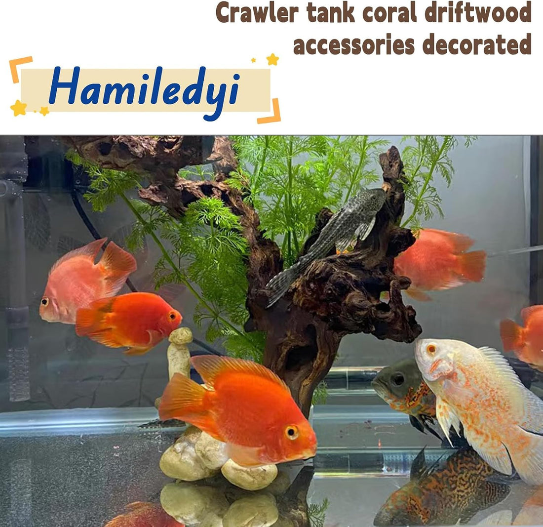 Hamiledyi Aquarium Driftwood 3PCS Natural Trunk Driftwood Assorted