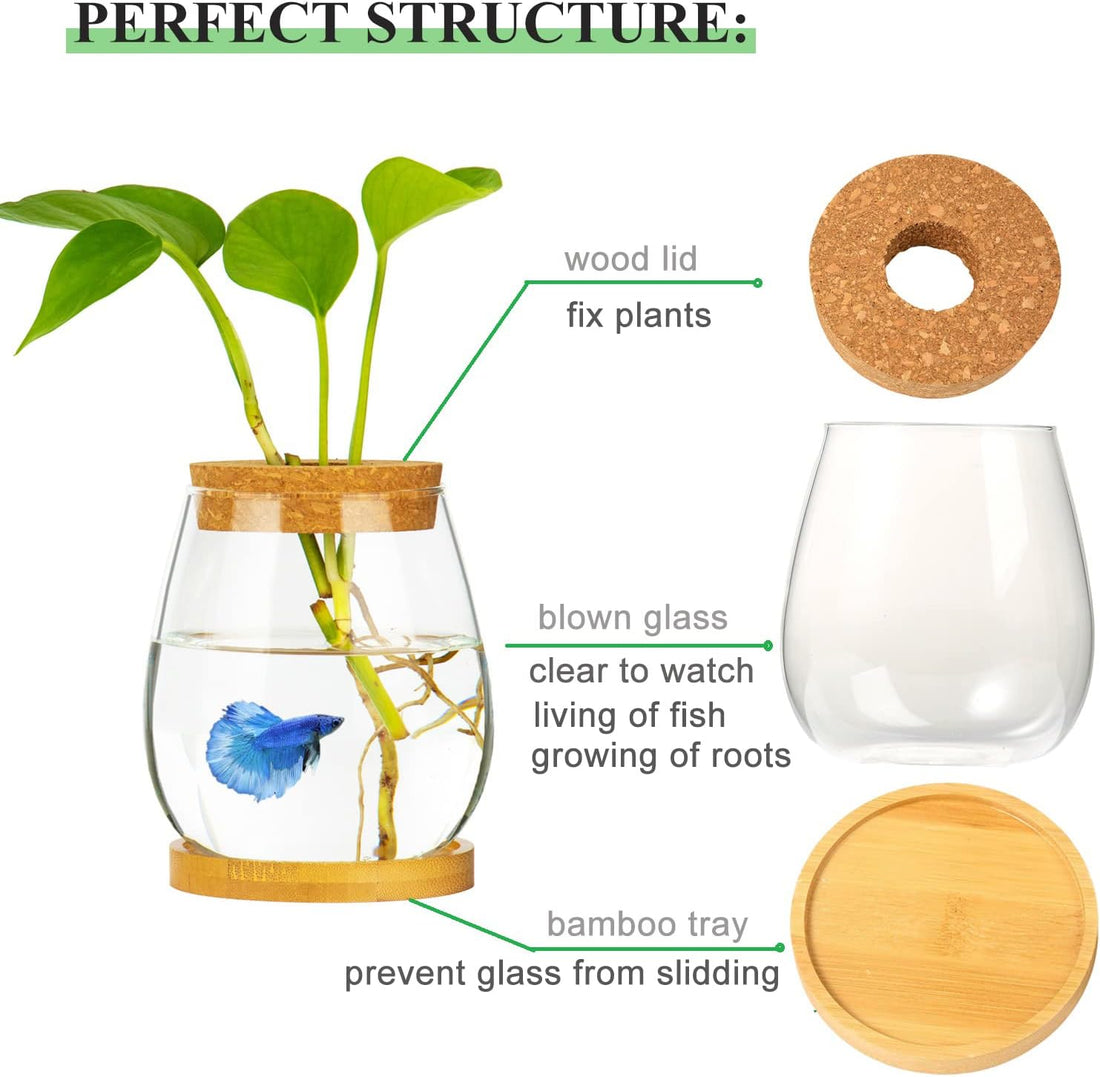 Desktop Fish Bowl Clear Glass Small Fish Tank with Wood Lid