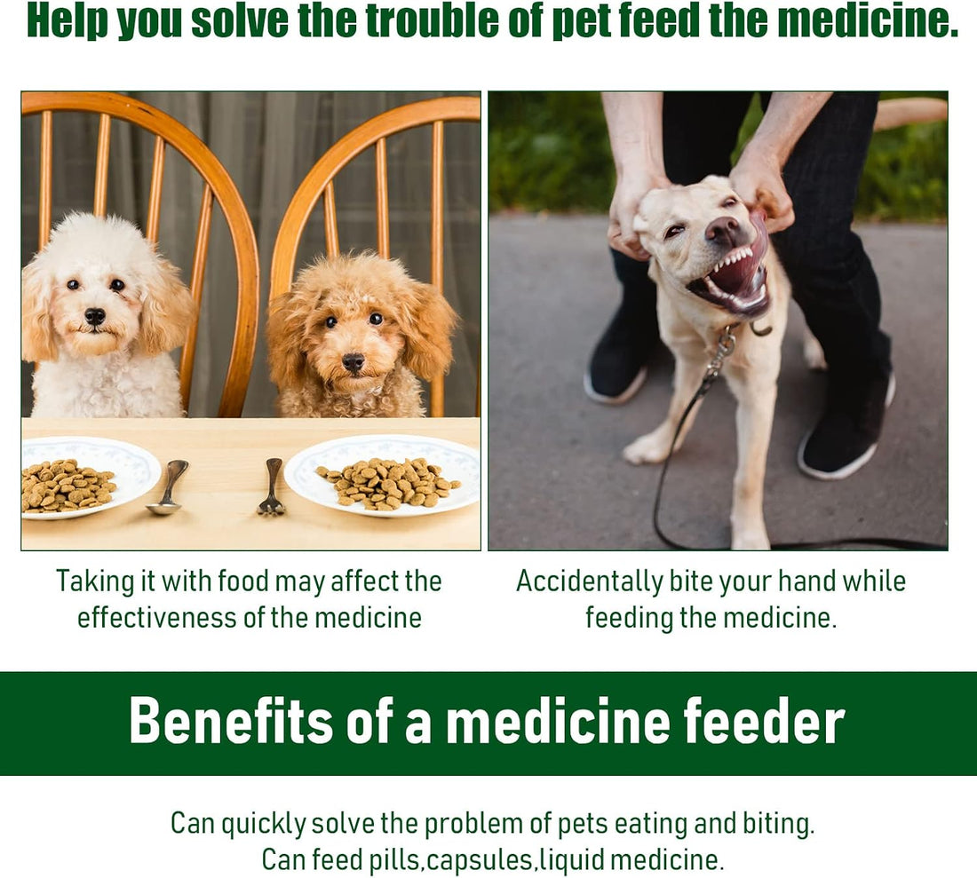 Patelai 4 Pcs Pill Shooter Pet Medicine Feeder