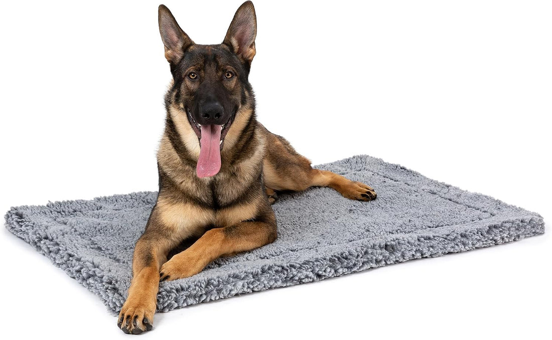 PELZIN Stoutwool 2.0 Indestructible Dog Bed