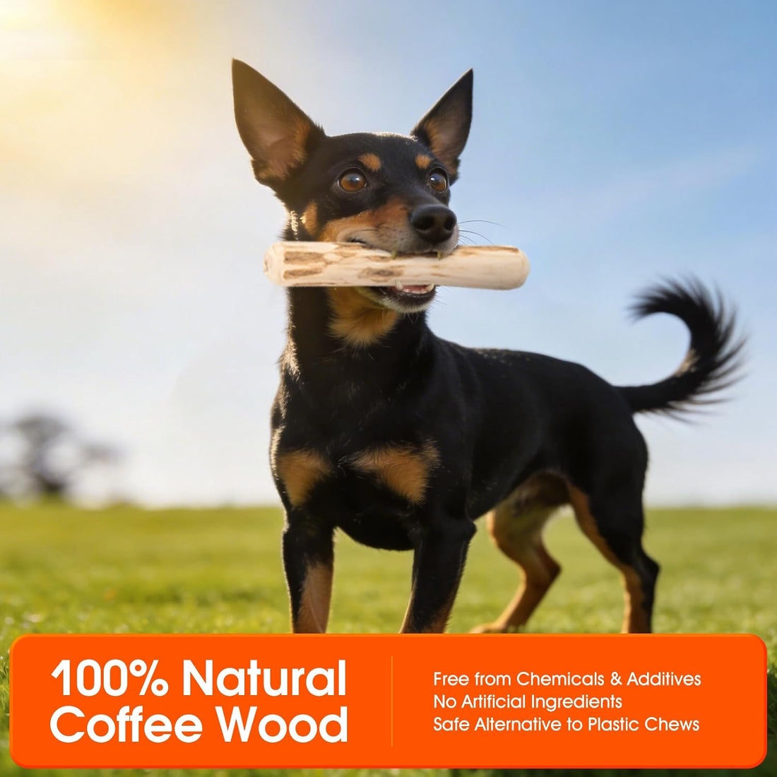 RYNVALE Chew Proof Crate Pad for Small Dog