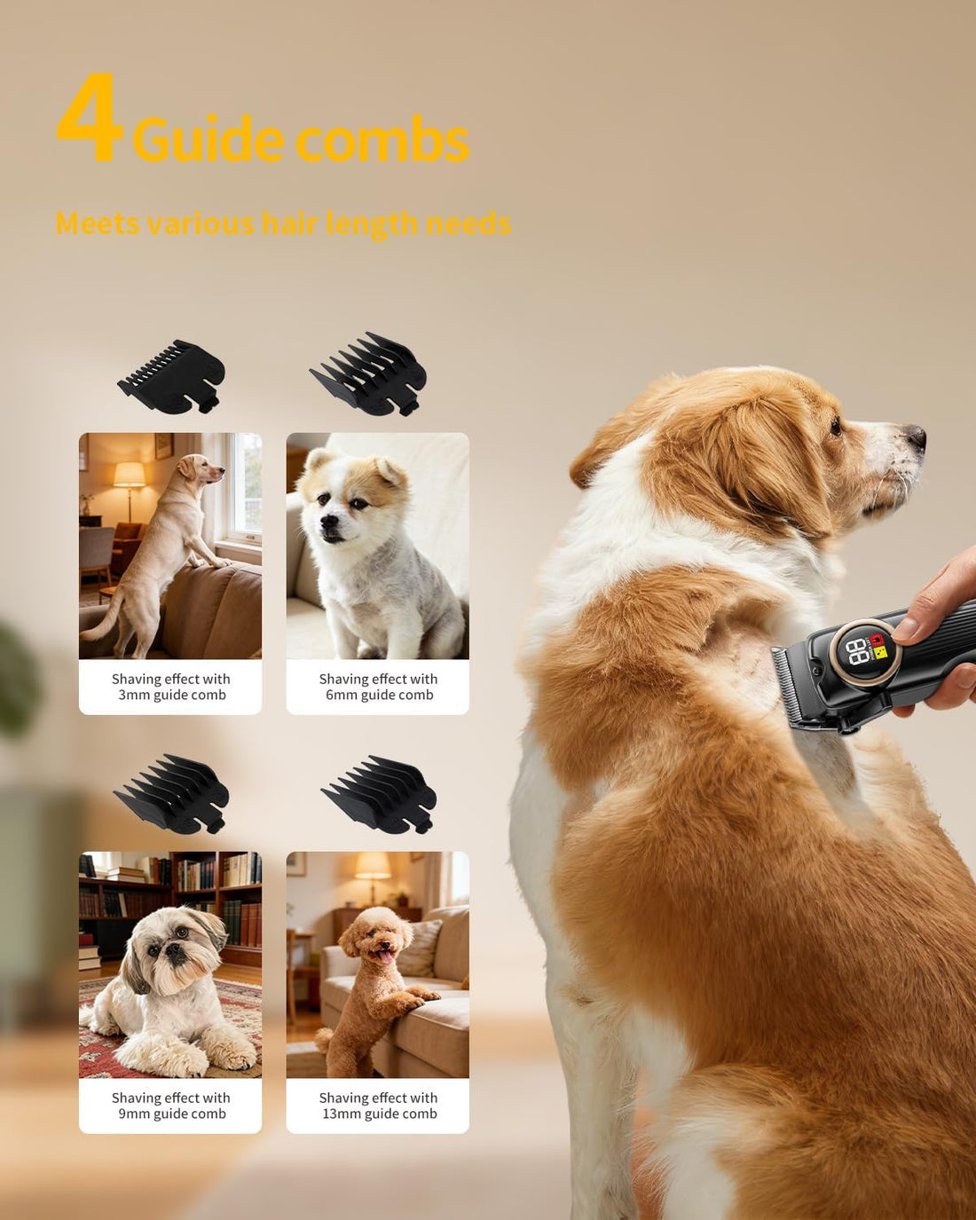 iBTC Professional Dog Grooming Clippers Kit