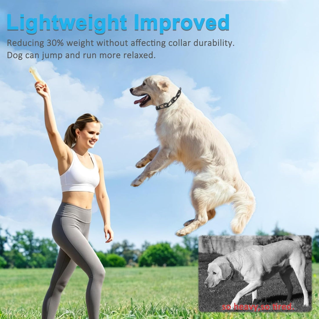 Prong Pinch Collar for Dogs,Dog Training Collar for Small Medium