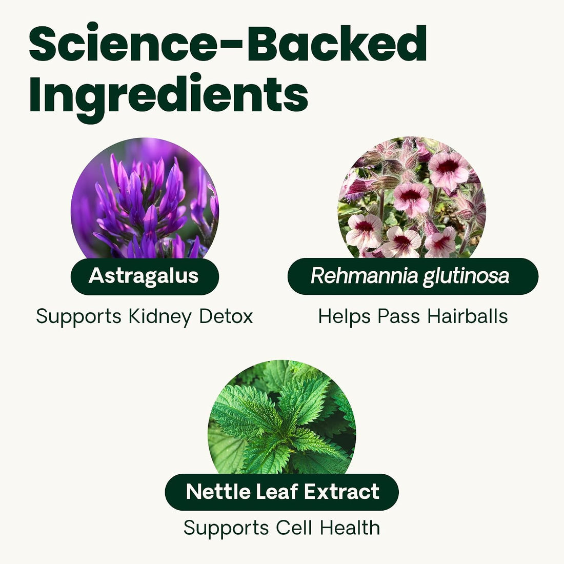 VetriScience Kidney Health Powder for Cats, Chicken & Cheese