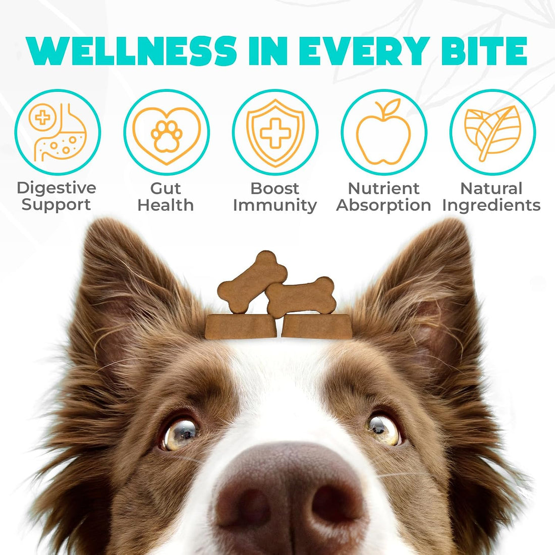 Probiotic Chews for Dogs, 150 Count, Digestive, Gut Health Support