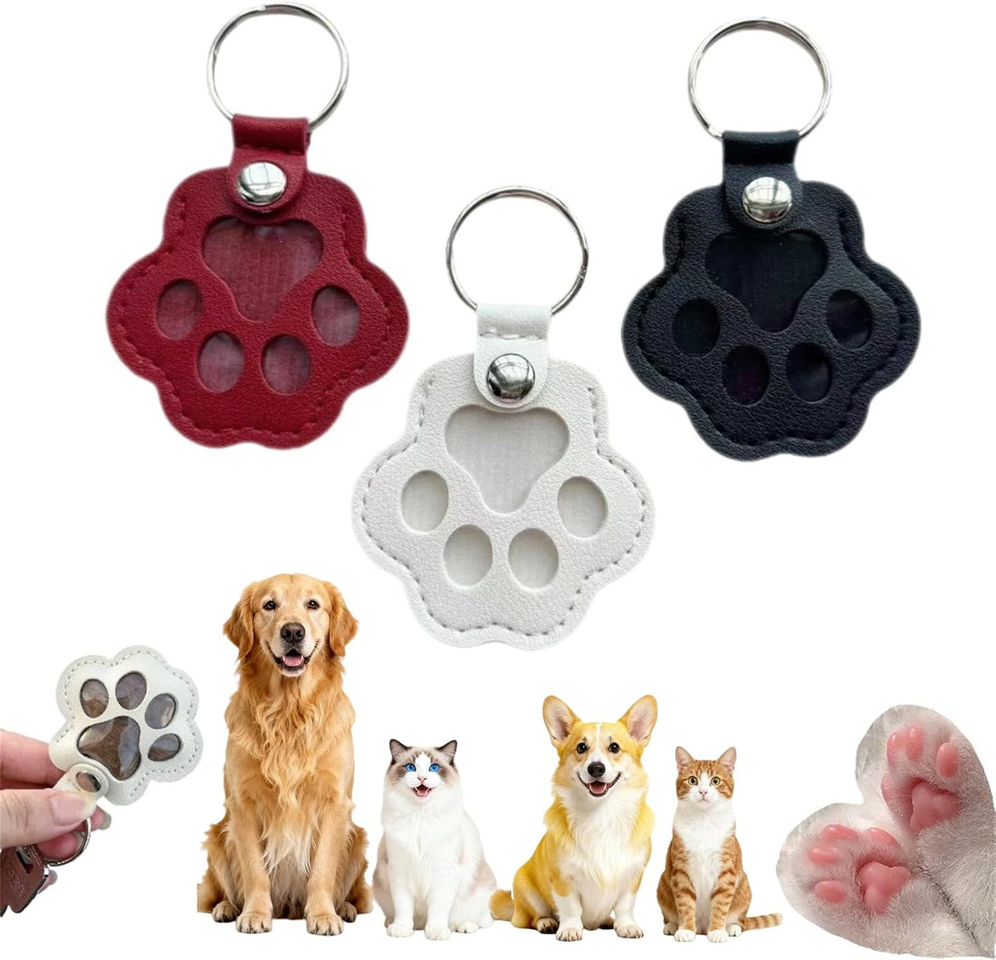3 Pcs Paw Print Pet Hair & Keepsake Memorial Keychain