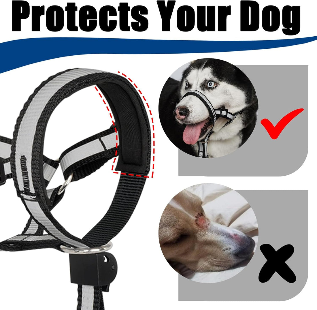 BARKLESS Reflective Head Collar, No Pull Collar for Small Medium Dogs