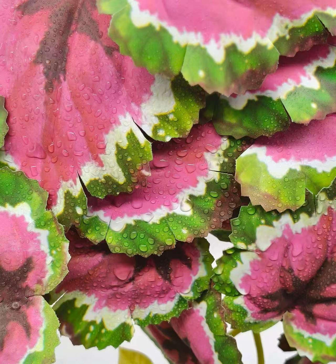 Fake Reptile Plants for Terrarium,Crested Gecko Tank Accessories
